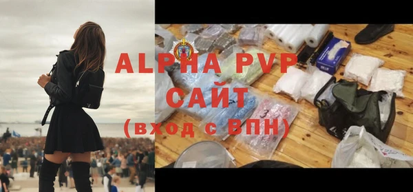 метадон Богданович
