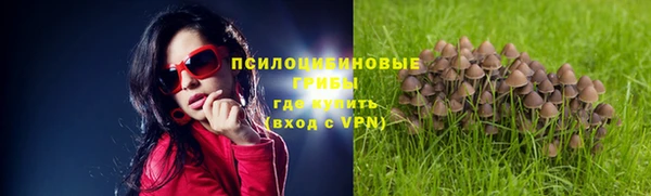 герыч Бугульма