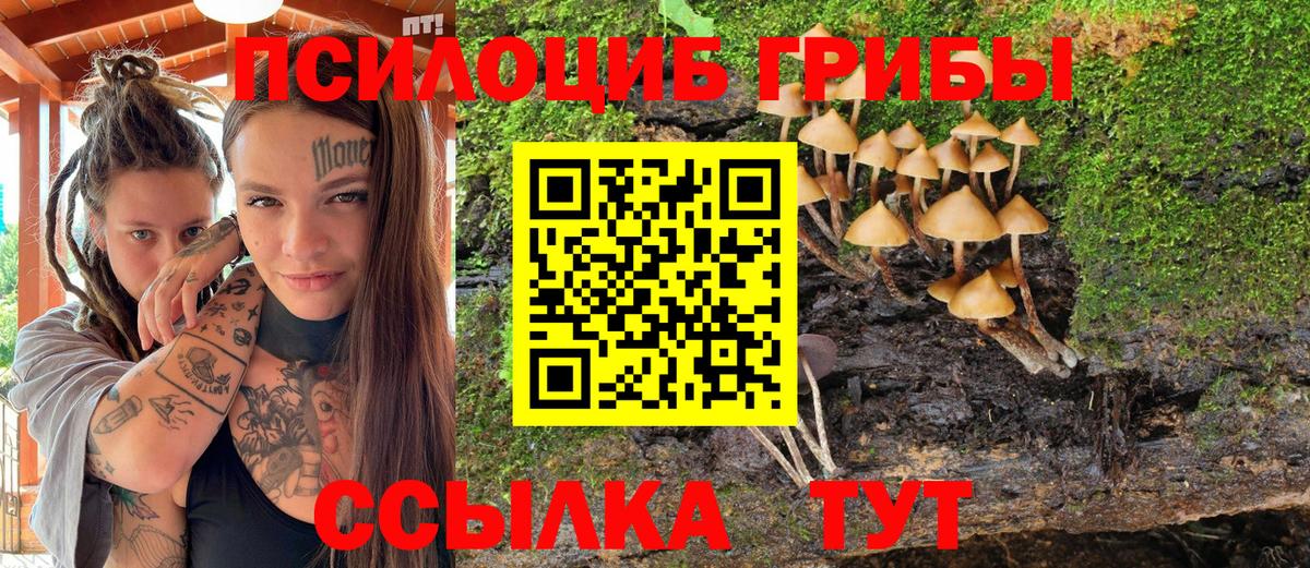 Галлюциногенные грибы мицелий Пыть-Ях